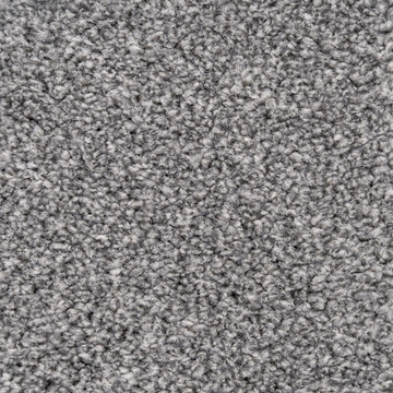 BELMONT Carpet - Affordable & Durable Flooring