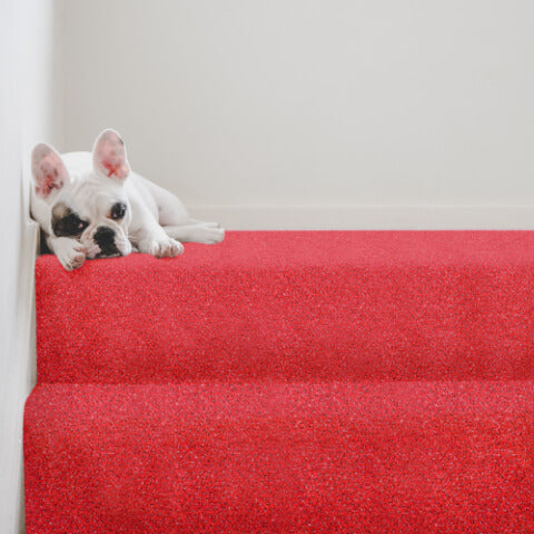 Signature Floors Boulevard Tweed Carpet - Action Back