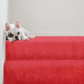 Signature Floors Boulevard Tweed action-back carpet