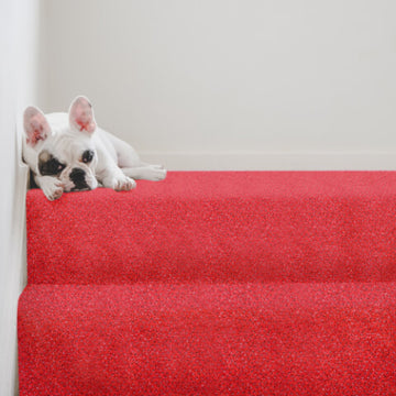 Signature Floors Boulevard Tweed action-back carpet