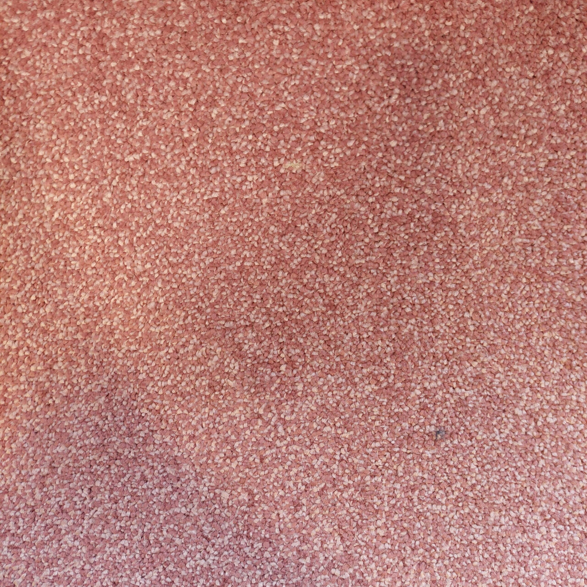 DESIRE BY LANO 4M & 5M – FELT Carpet product image