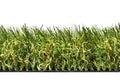 Phloor GRASS MEGAN 4M & 5M – LATEX Carpet product image