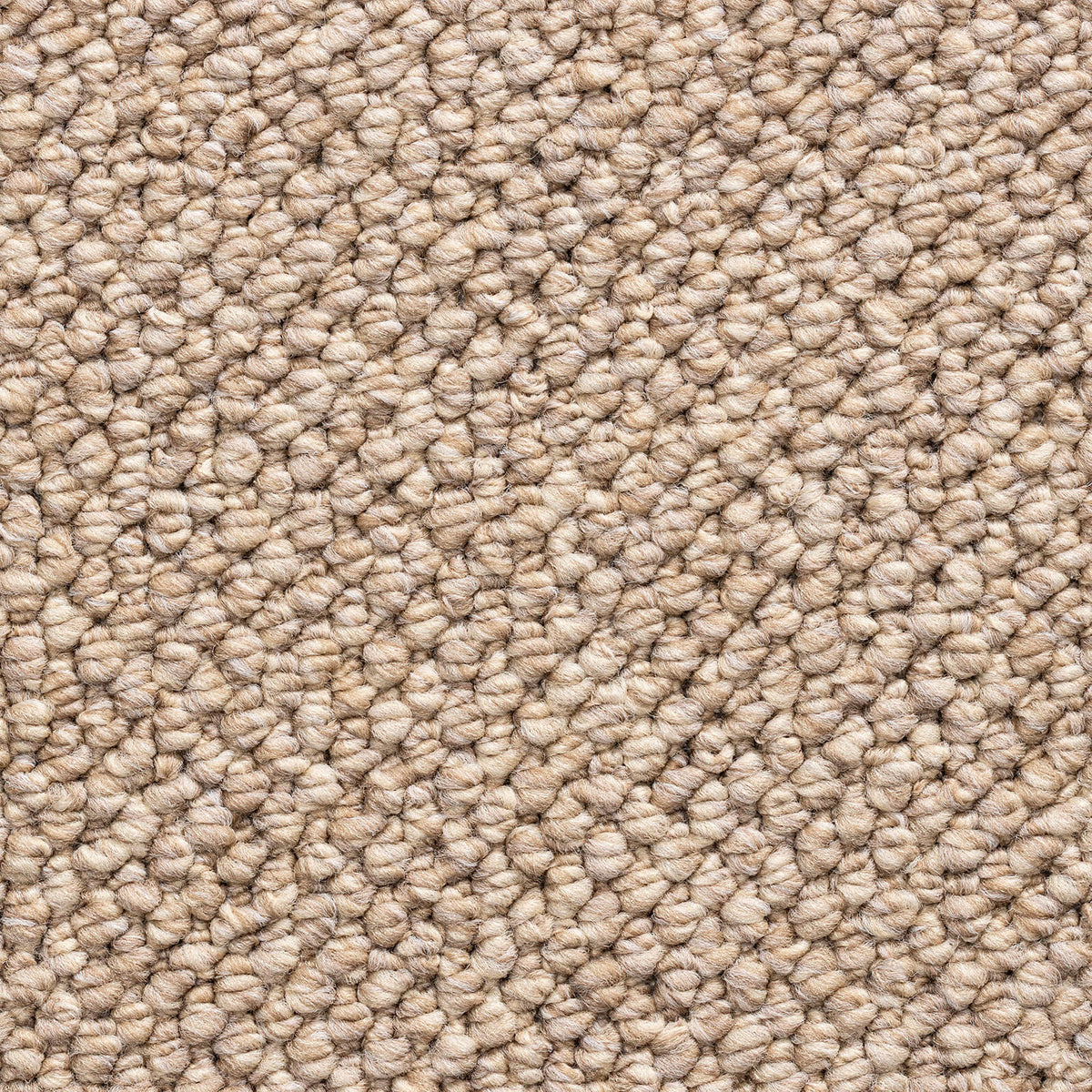 CARRIG 4M & 5M – COMBI carpet - Camel