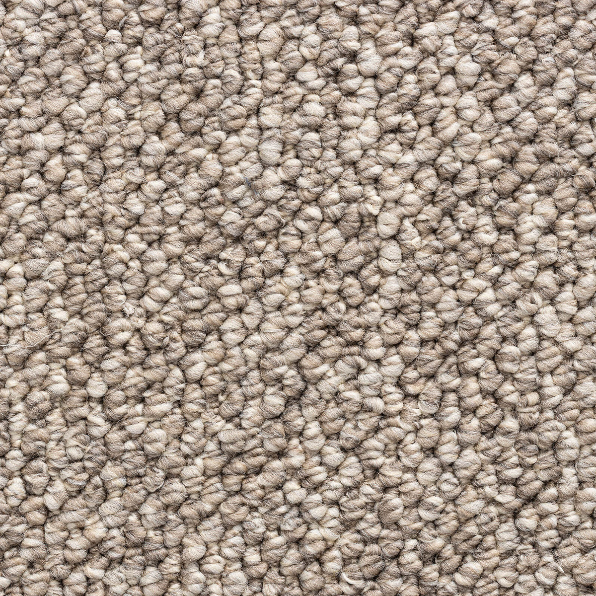 CARRIG 4M & 5M – COMBI carpet - Mink