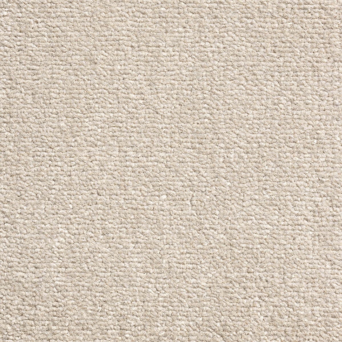 Windsor Velvet carpet - 173 Vintage White