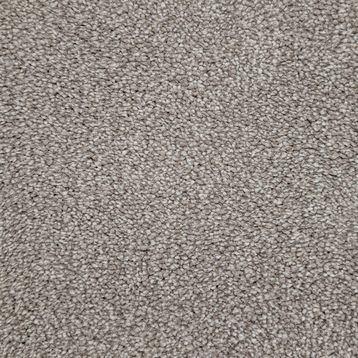 Caress Luxury carpet - 173 Stone