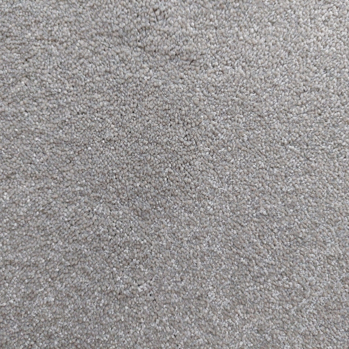 Bellevue carpet - 174 Silver Birch