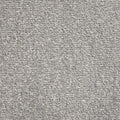 Windsor Velvet carpet - 175 Brushed Steel