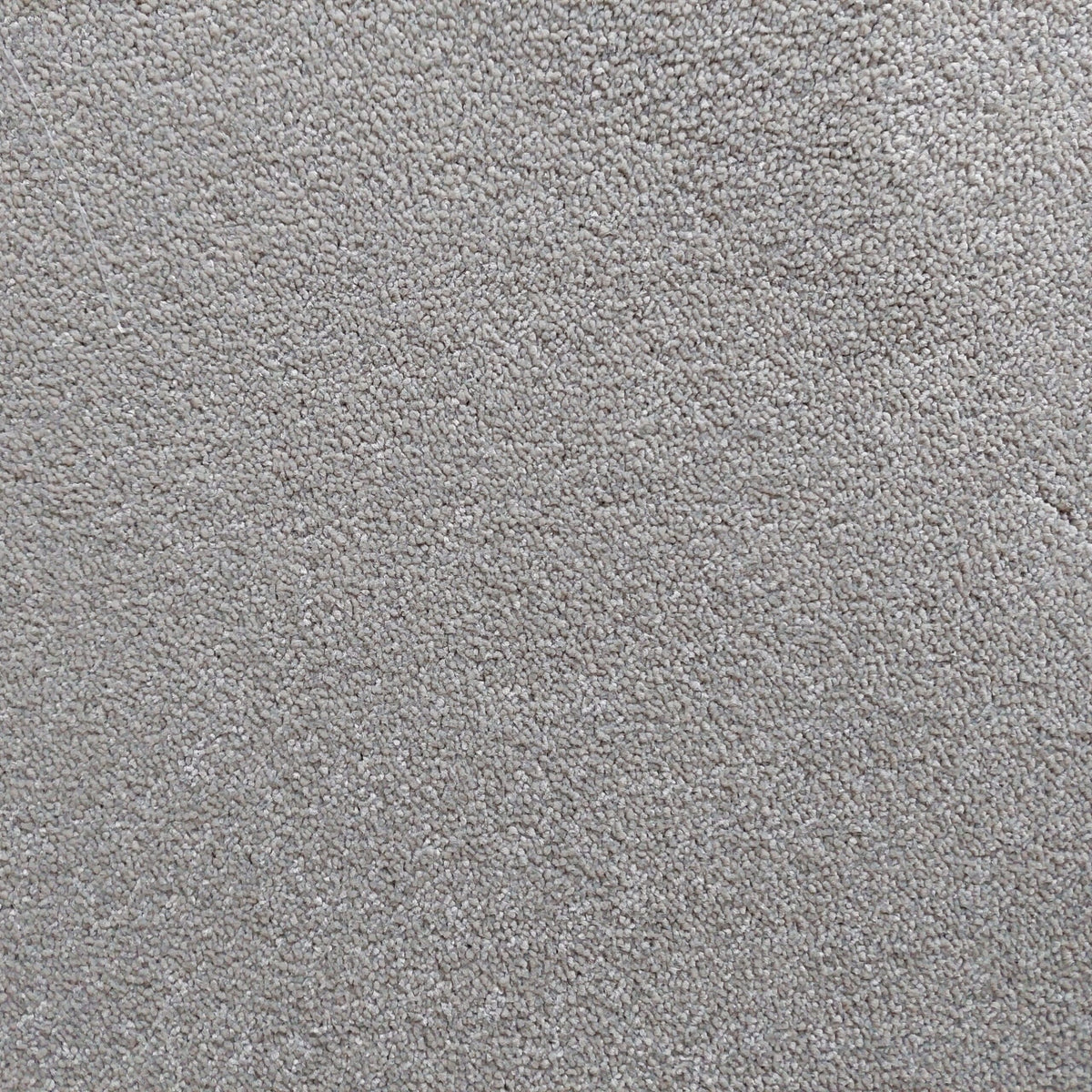 Bellevue carpet - 175 Mayfair White