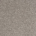Windsor Velvet carpet - 176 Peppercorn