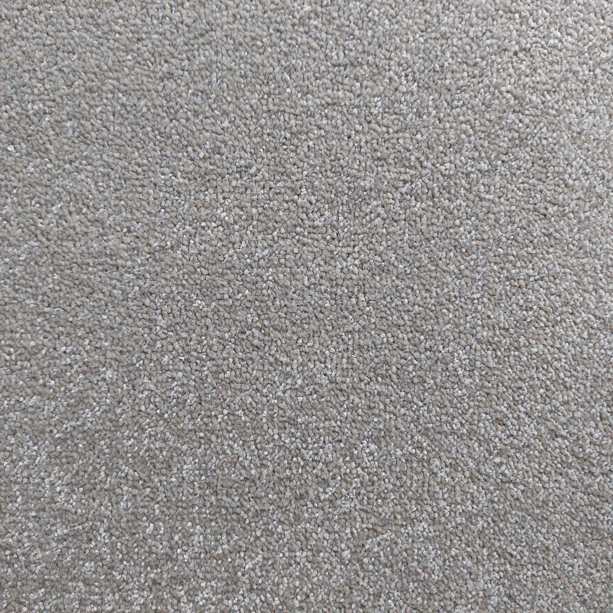 Bellevue carpet - 177 Moleskin