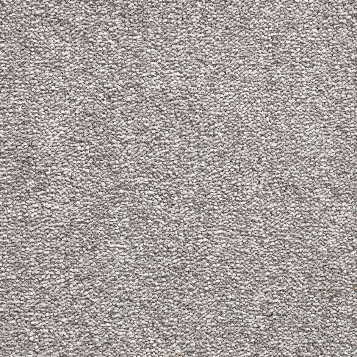 Serenity carpet - SERENITY 177