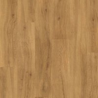 Close-up of a wooden surface with a warm brown tone
