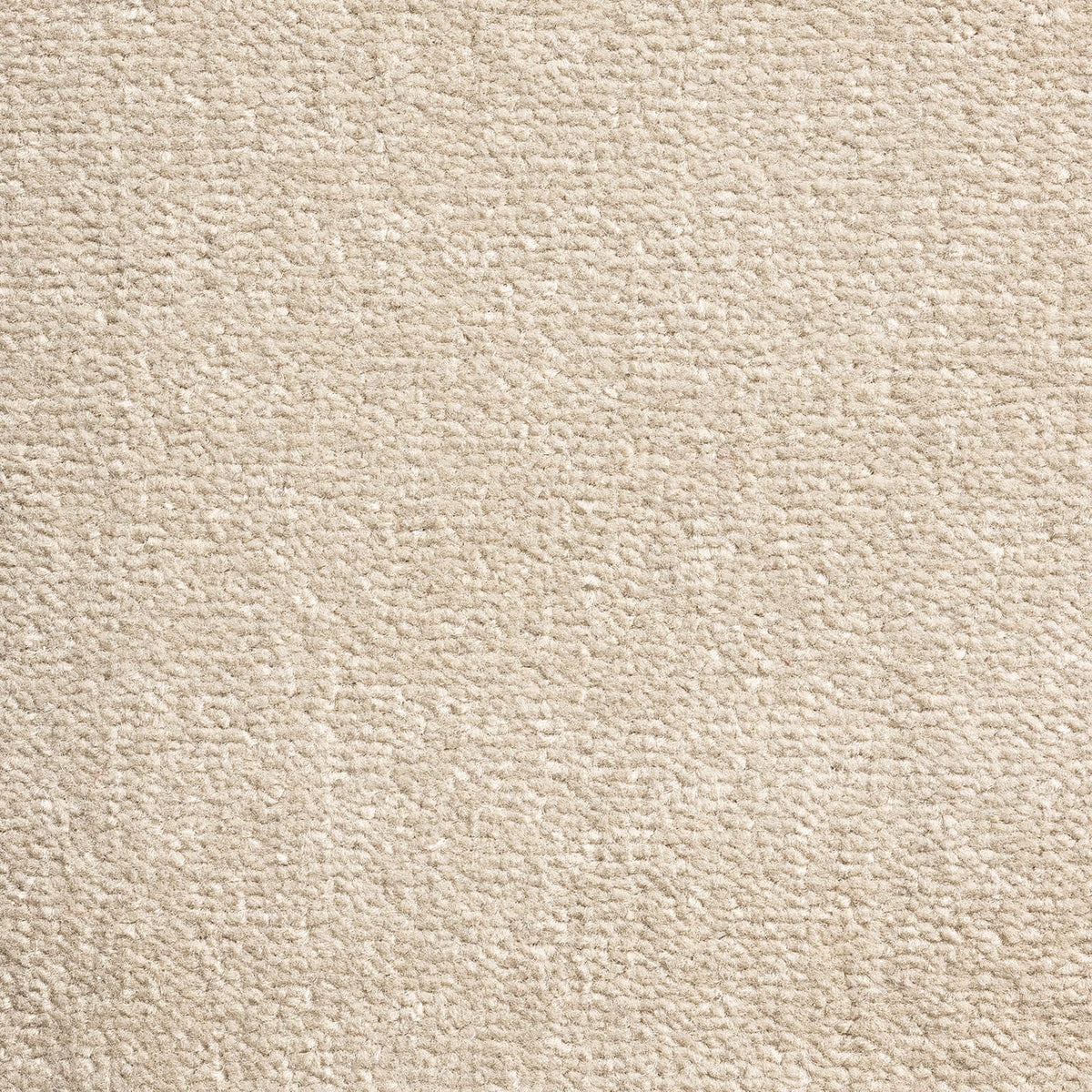 Windsor Velvet carpet - 272 Taupe