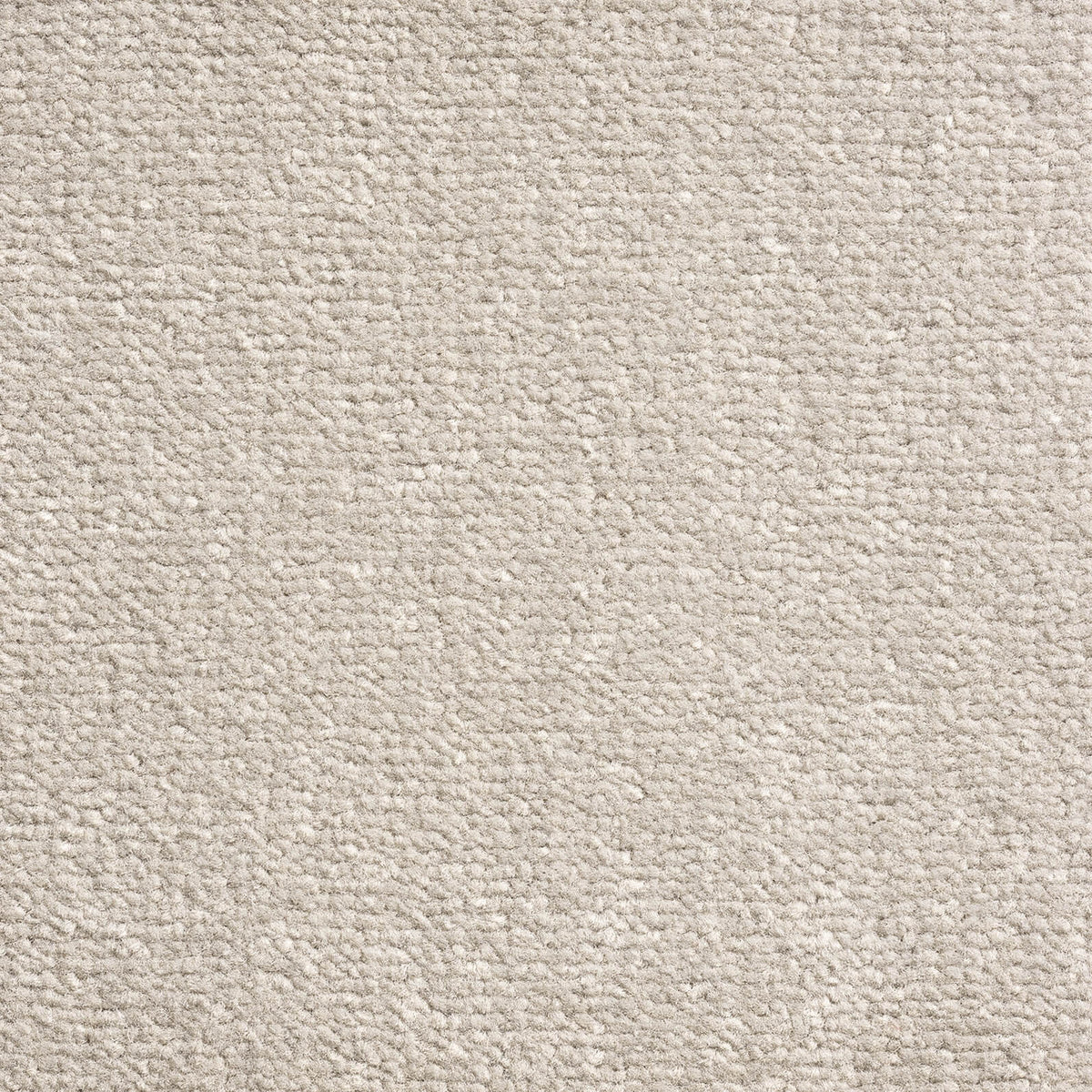Windsor Velvet carpet - 275 Pebble Grey