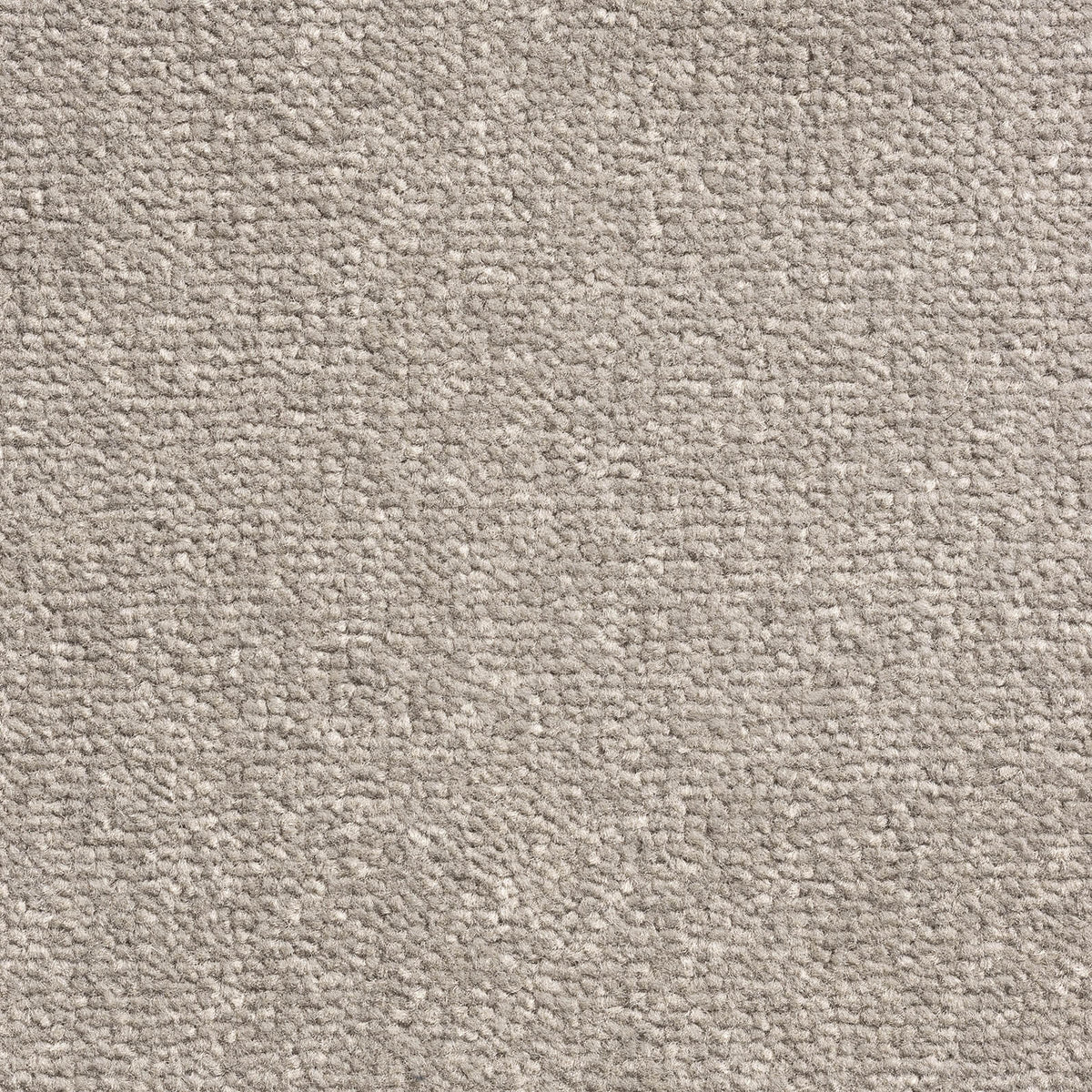 Windsor Velvet carpet - 276 Provence Grey