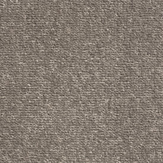 Windsor Velvet carpet - 279 Shadow