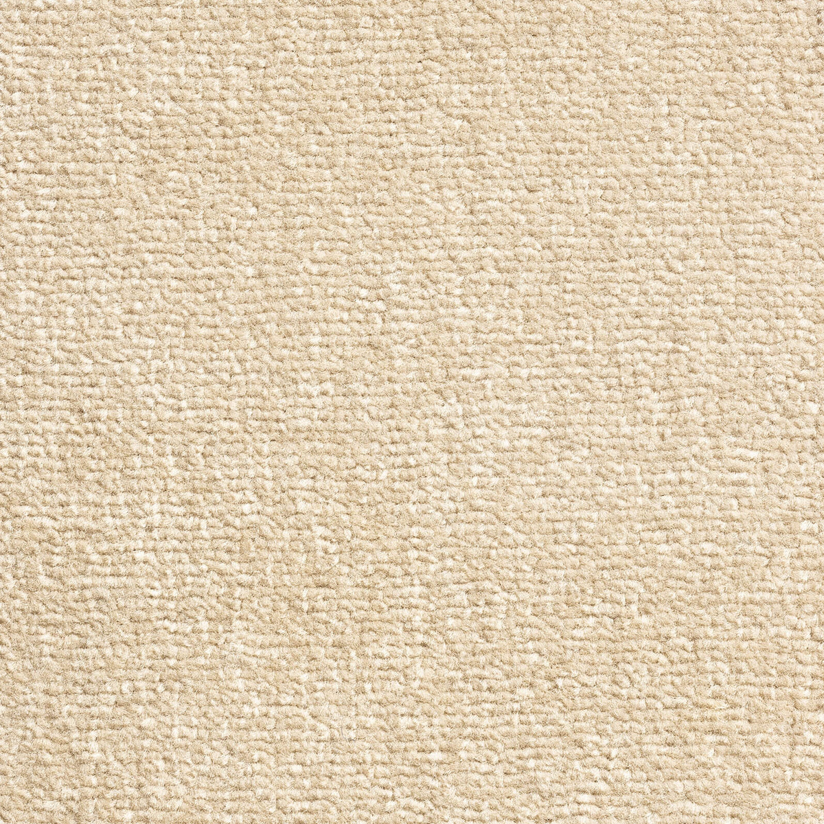 Windsor Velvet carpet - 290 Roasted Almond