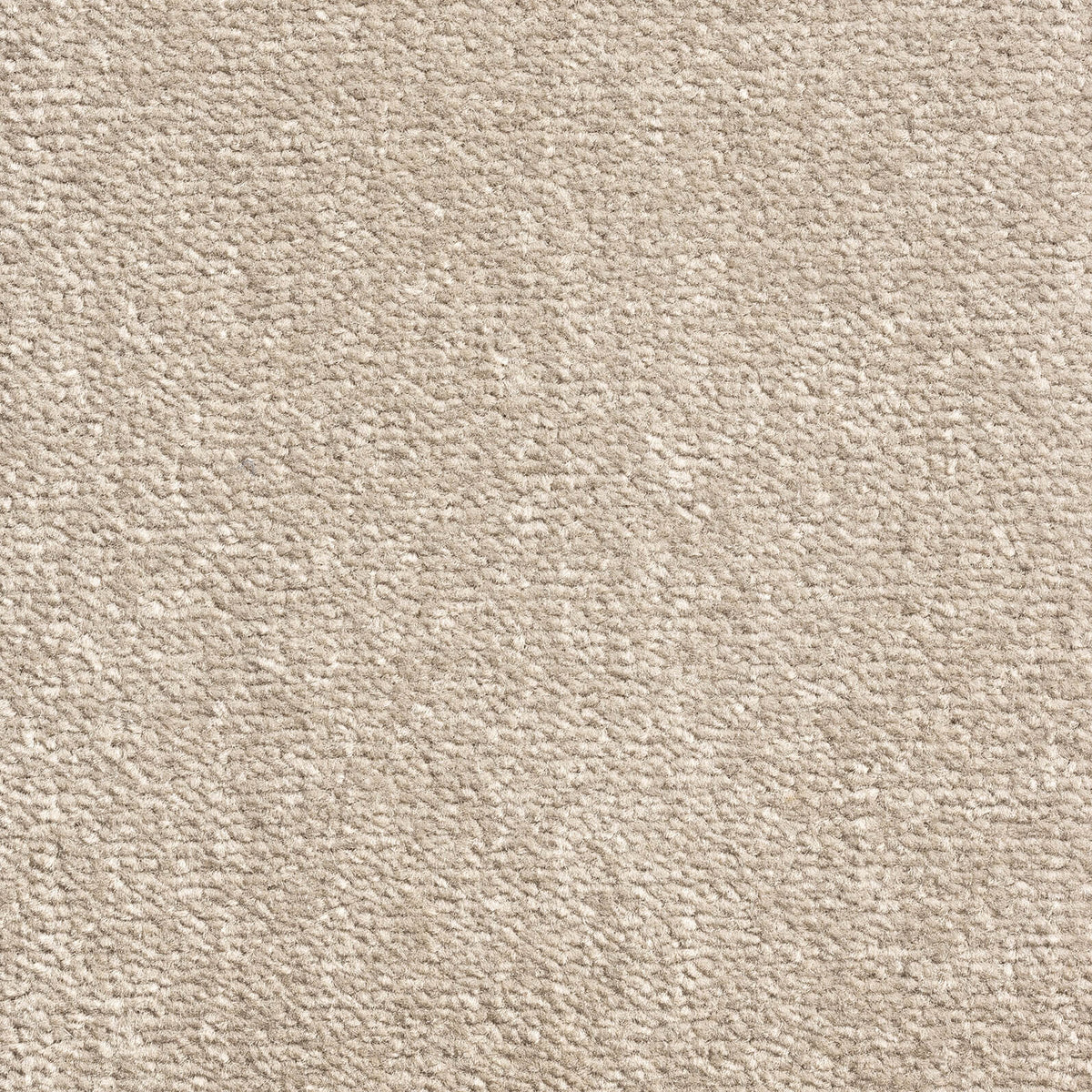 Windsor Velvet carpet - 293 Moleskin