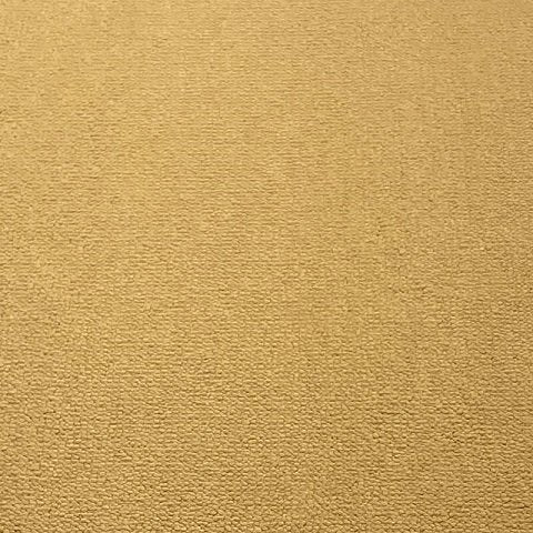 Hyatt Elite 50 OCHRE 5m carpet