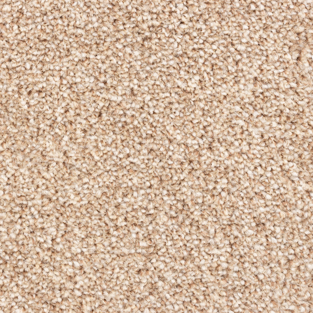 Modena carpet - 53 Wheat