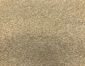 Signature Floors Fantasy carpet – Dove