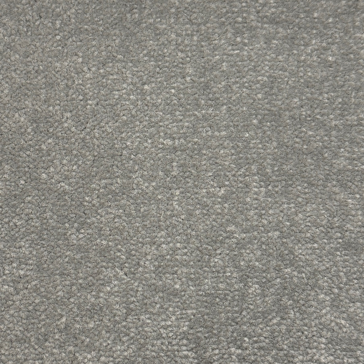 Windsor Velvet carpet - 561 Foggy Dew