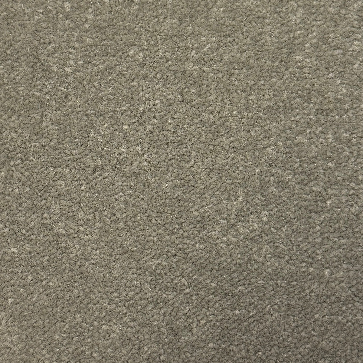 Windsor Velvet carpet - 562 Dry Sage