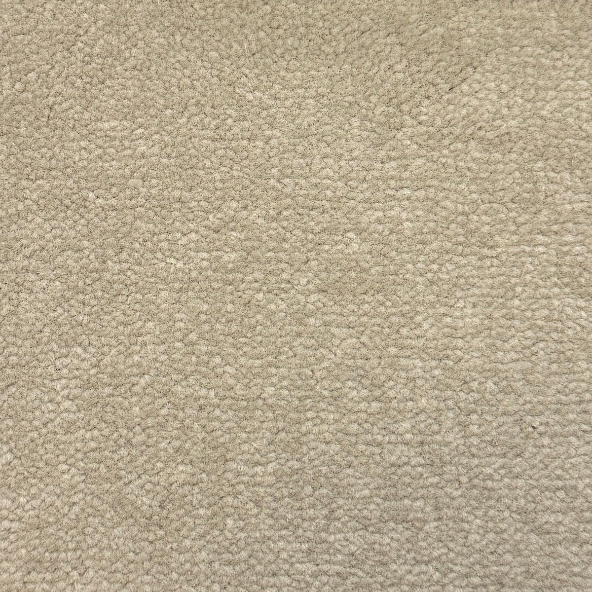 Windsor Velvet carpet - 568 Celery Salt