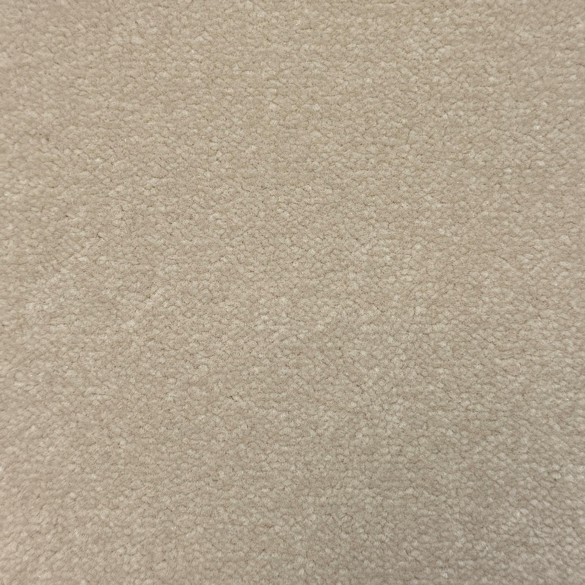 Windsor Velvet carpet - 569 Devon Cream