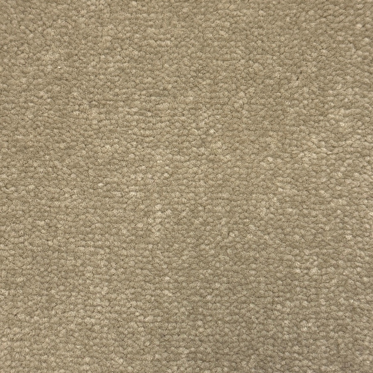 Windsor Velvet carpet - 571 Parchment