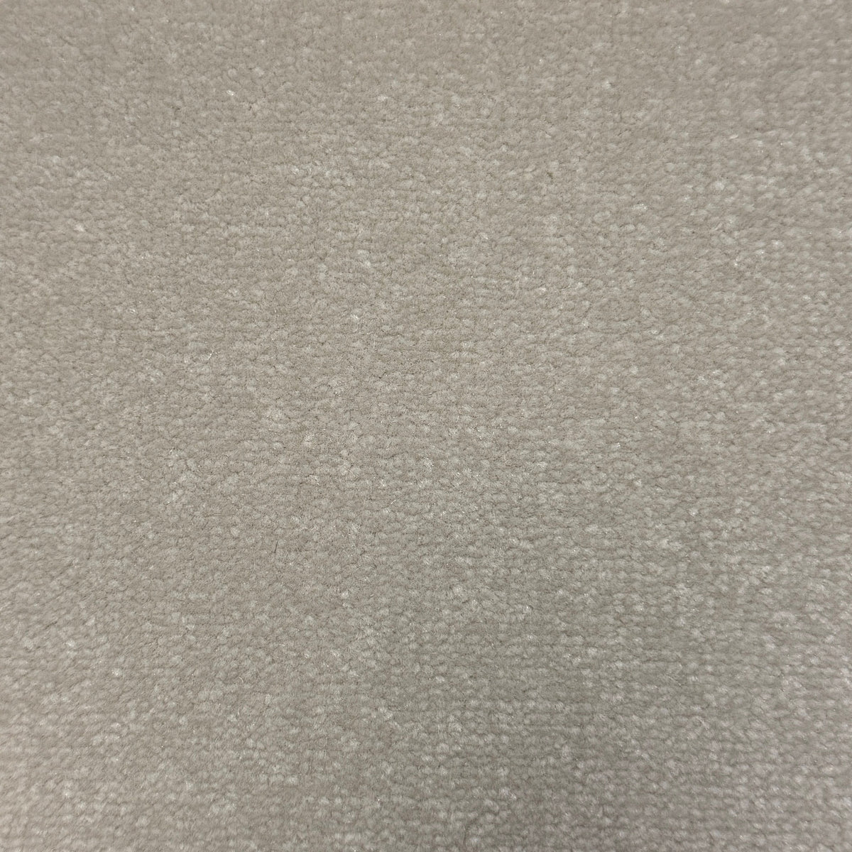 Windsor Velvet carpet - 573 Antique White