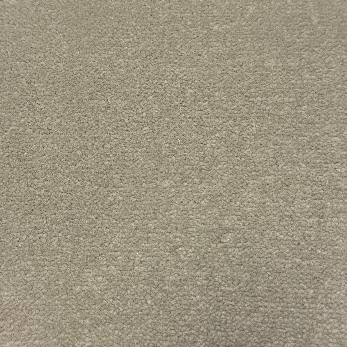 Windsor Velvet carpet - 576 Opal