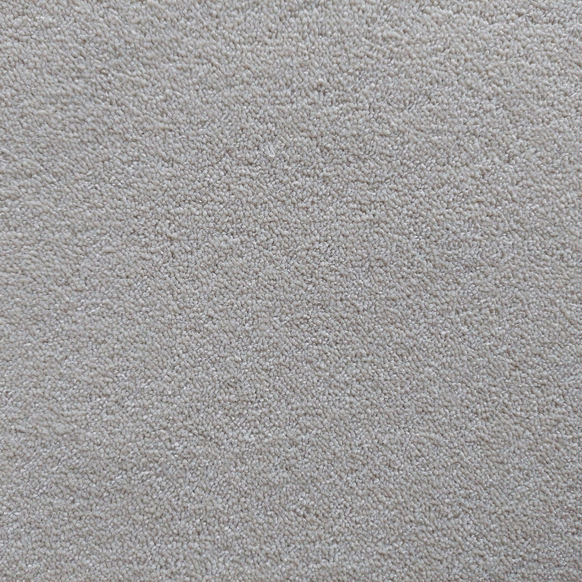 Bellevue carpet - 69 Creme de la Creme