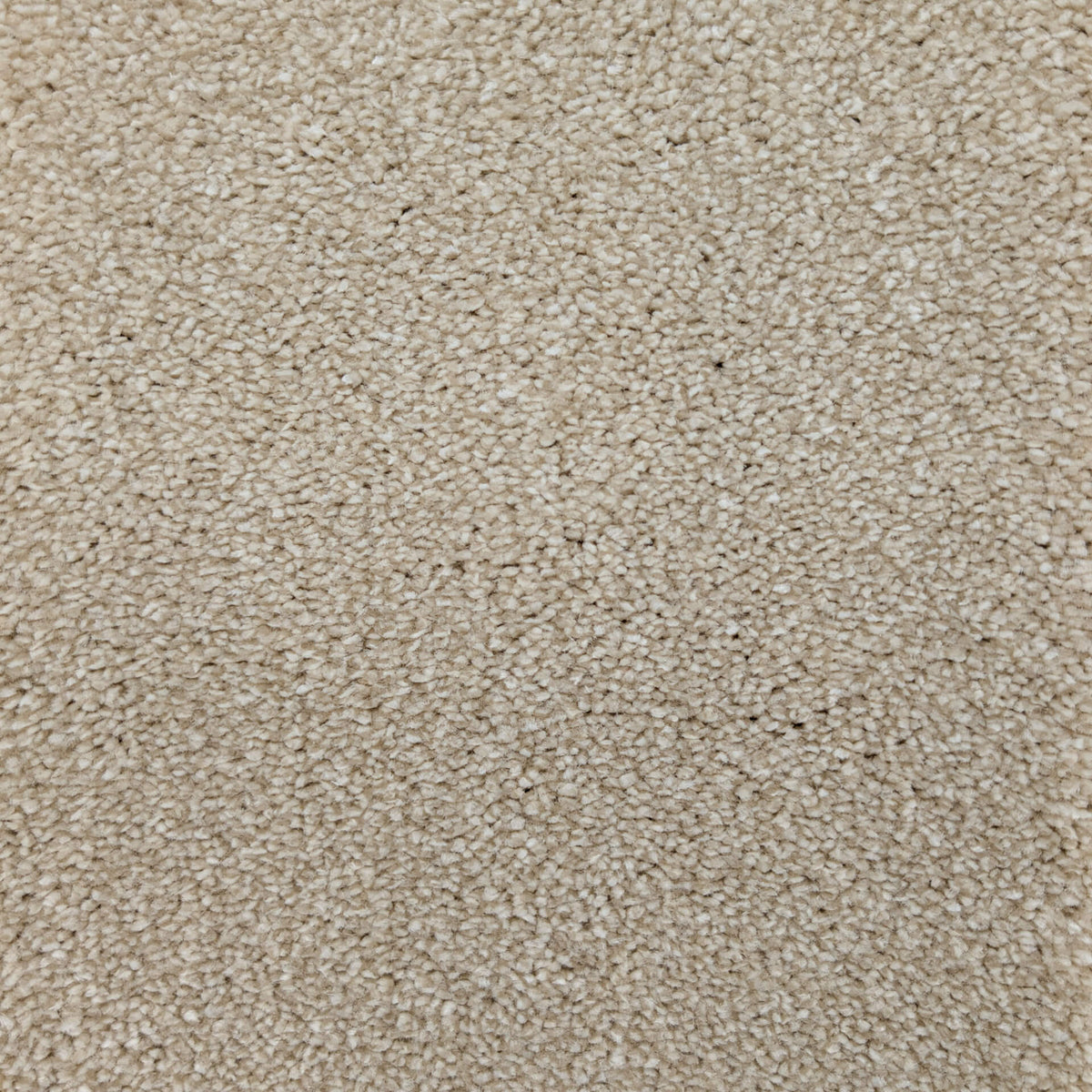 Caress Luxury carpet - 70 Sandstone