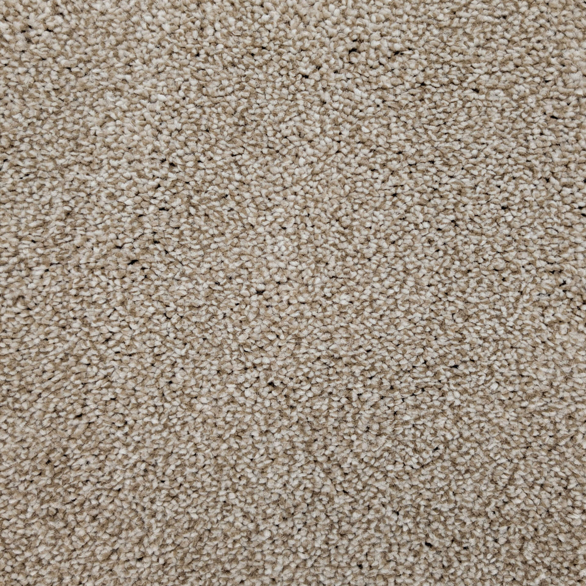 Caress Luxury carpet - 71 Biscuit