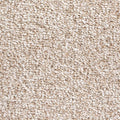 Shazam carpet - 71 Biscuit