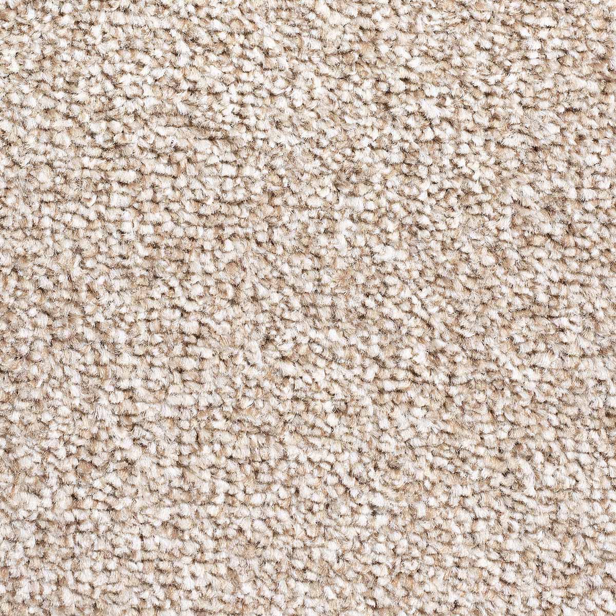 Shazam carpet - 71 Biscuit