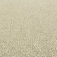 Hyatt Elite Carpet - Premium 100% Recycled Nylon