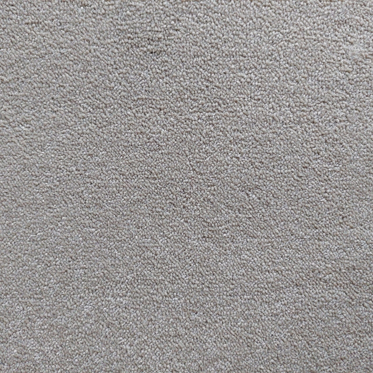 Bellevue carpet - 72 Biscuit
