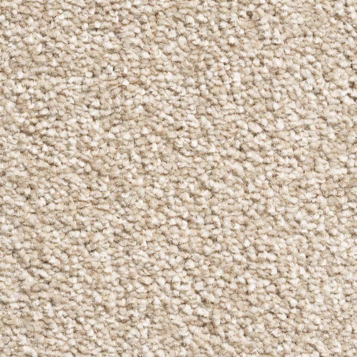 Shazam carpet - 72 Cashmere