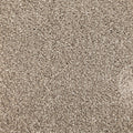 Caress Luxury carpet - 72 Coffee