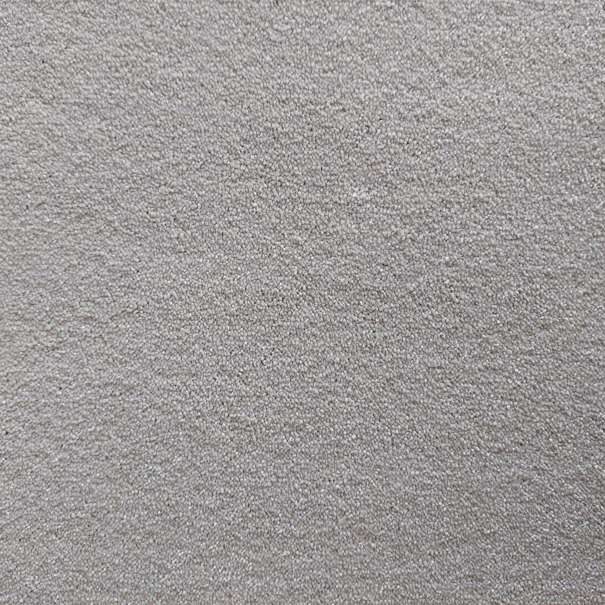 Bellevue carpet - 73 Soft White