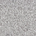Modena carpet - 73 Westbrook