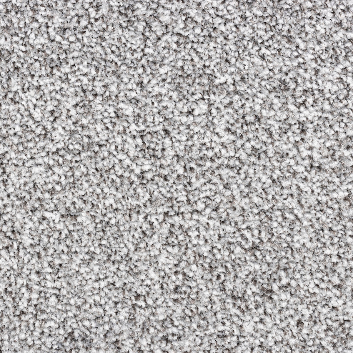 Modena carpet - 73 Westbrook