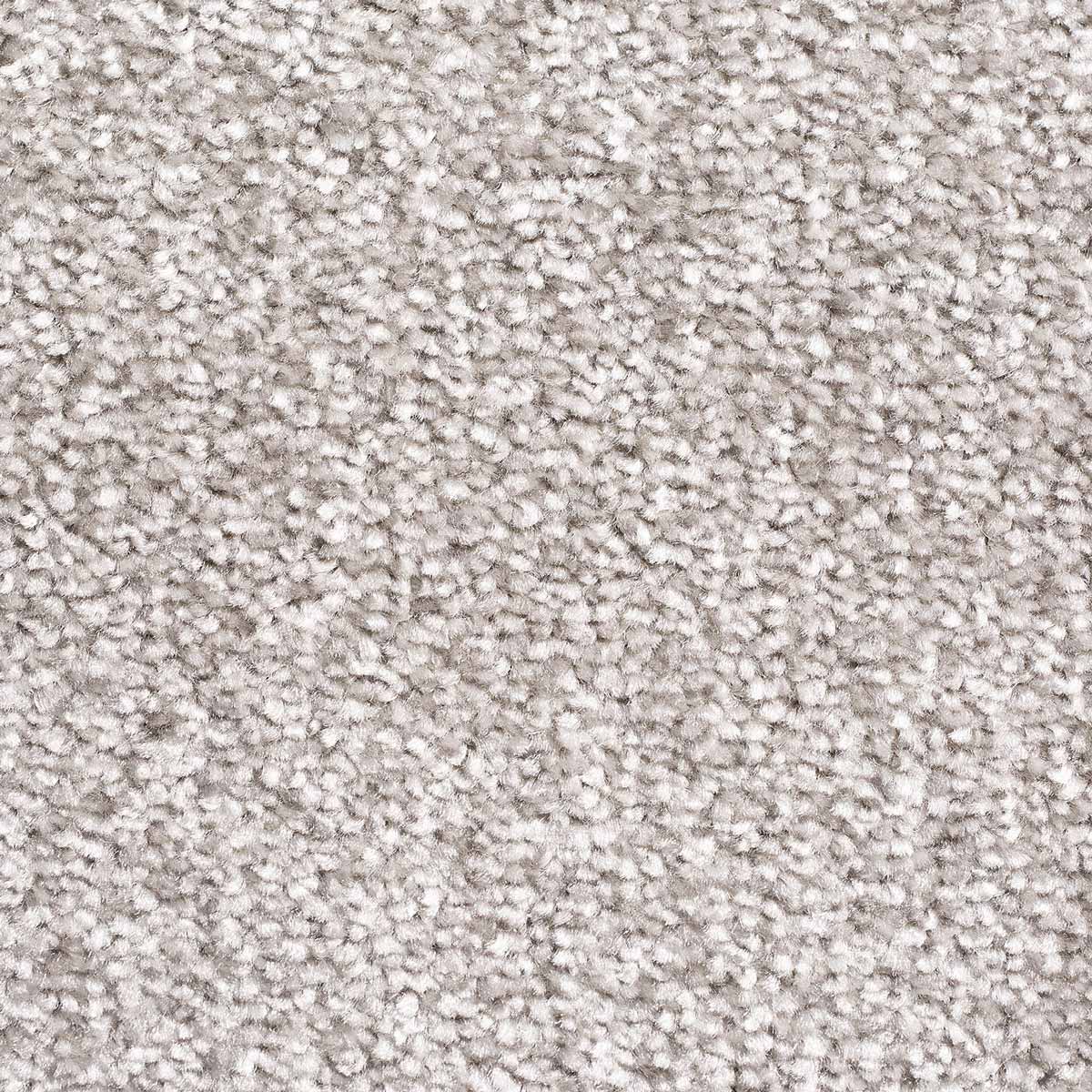 Shazam carpet - Shazam 73