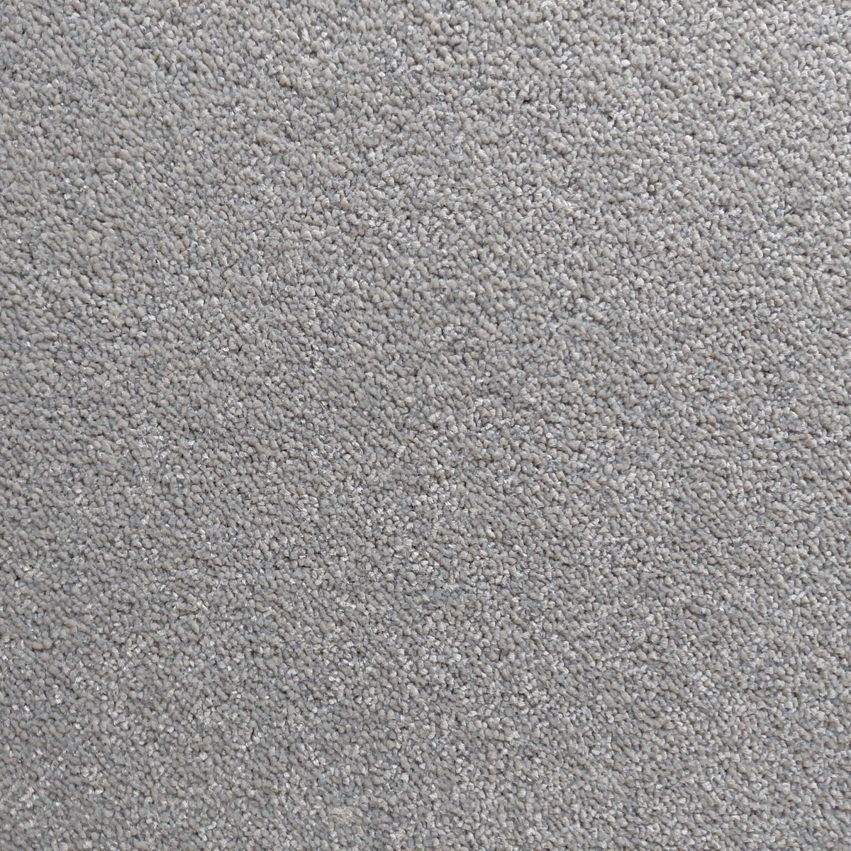 Bellevue carpet - 75 Modern Grey