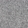 Modena carpet - 76 Silver Dollar