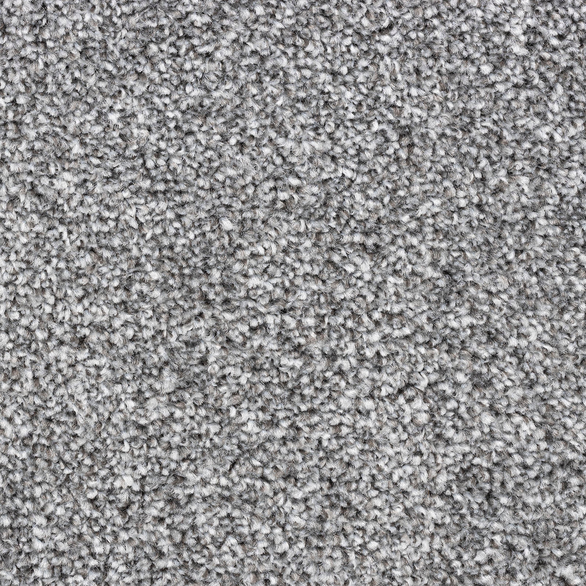 Modena carpet - 76 Silver Dollar