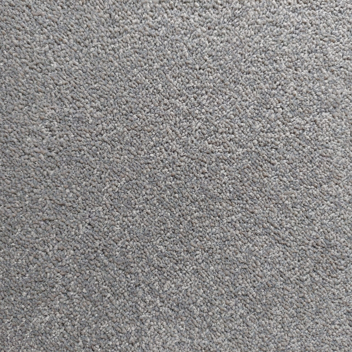 Bellevue carpet - 77 Antique Silver